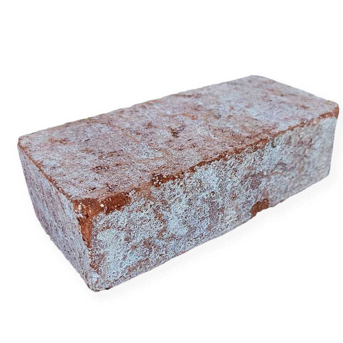 Clay Brick 3-3/4 in. x 2-1/4 in. x 8 in. Cabrillo Common