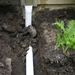 HDPE Pipe 3 in. x 10 ft. Triplewall Solid