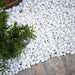 Landscape Pebbles 1/2 in. - 3 in. White 0.4 cu.ft. 30 lb 5