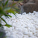Landscape Pebbles 1/2 in. - 3 in. White 0.4 cu.ft. 30 lb 4