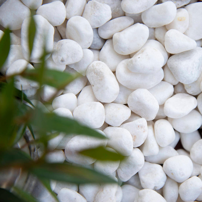 Landscape Pebbles 1/2 in. - 3 in. White 0.4 cu.ft. 30 lb 7