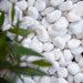 Landscape Pebbles 1/2 in. - 3 in. White 0.4 cu.ft. 30 lb 7