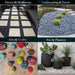 Landscape Rocks 1/4 in. - 1/2 in. White 0.4 cu.ft. 30 lb 10