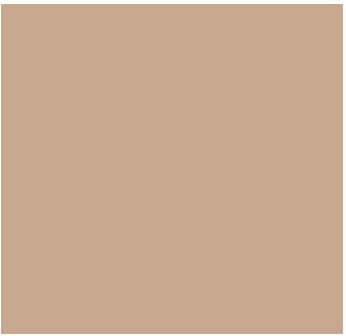 Fog Coat DX-524 Alamo 25 lb Bonding Cement Stucco Coating