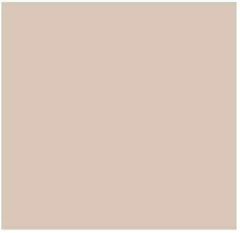 Fog Coat DX-23 Aspen 25 lb Bonding Cement Stucco Coating