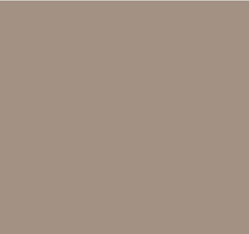 Stucco Color Belle Glade X-81583 Base 100 (32 oz.)