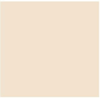 Fog Coat DX-12 Chablis 25 lb Bonding Cement Stucco Coating