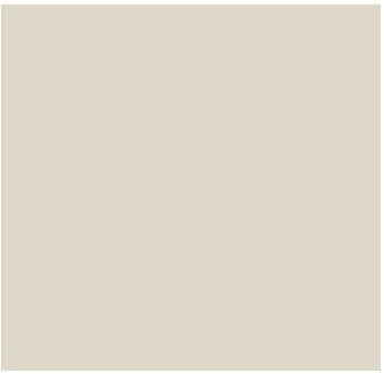 Fog Coat DX-40 Dove Grey 25 lb Bonding Cement Stucco Coating