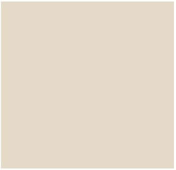 Fog Coat DX-73 Eggshell  25 lb Bonding Cement Stucco Coating