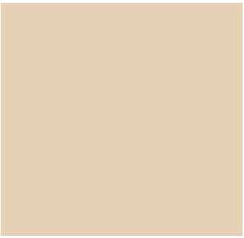 Stucco Color French Vanilla X-55 Base 100 (16 oz.) 1