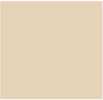 Fog Coat DX-55 French Vanilla 25 lb Bonding Cement Stucco Coating