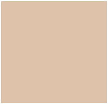 Fog Coat DX-82 Hacienda  25 lb Bonding Cement Stucco Coating