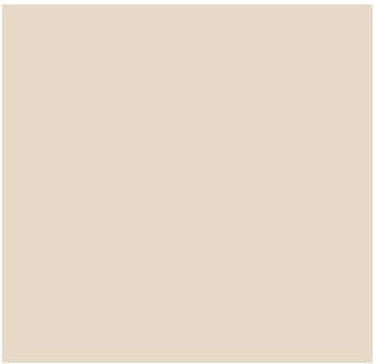 Fog Coat DX-48 Meadowbrook 25 lb Bonding Cement Stucco Coating