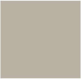 Fog Coat DX-215 Mesa Verde 25 lb Bonding Cement Stucco Coating
