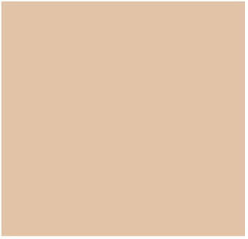 Fog Coat DX-71 Miami Peach 25 lb Bonding Cement Stucco Coating