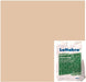 Stucco Color Maiami Peach X-71 Base 100 (16 oz.)