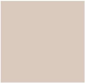 Fog Coat DX-28 Mirage 25 lb Bonding Cement Stucco Coating