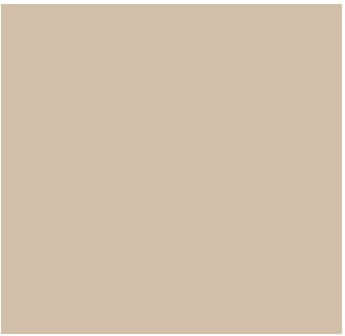 Fog Coat DX-17 Misty 25 lb Bonding Cement Stucco Coating
