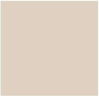 Fog Coat DX-81 Oatmeal 25 lb Bonding Cement Stucco Coating