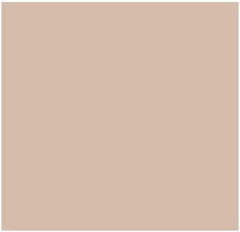 Stucco Color Pacific Sand X-97 Base 200 (16 oz.) 1