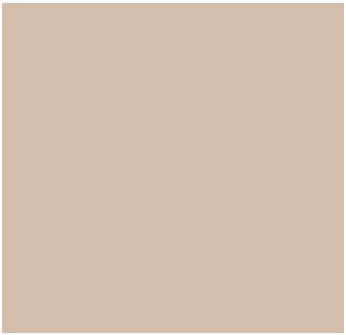 Fog Coat DX-97 Paciffic Sand 25 lb Bonding Cement Stucco Coating