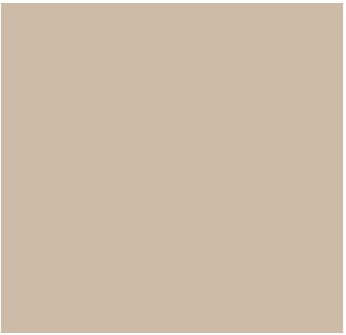 Fog Coat DX-25 Saddleback 25 lb Bonding Cement Stucco Coating