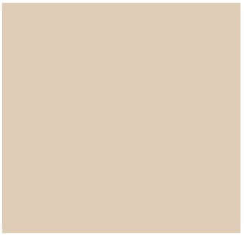Fog Coat DX-86 Sandstone 25 lb Bonding Cement Stucco Coating