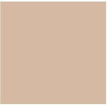 Fog Coat DX-24 Santa Fe 25 lb Bonding Cement Stucco Coating