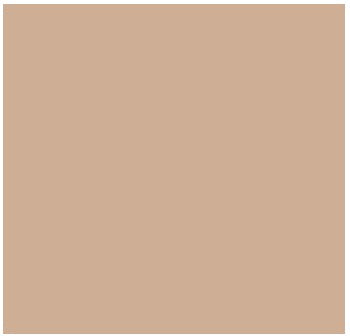 Stucco Color Southern Moss X-696 Base 200 (16 oz.)1