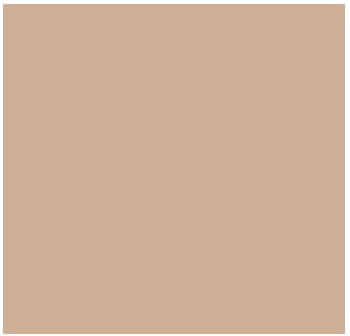 Fog Coat DX-580 Sierra Tan 25 lb Bonding Cement Stucco Coating