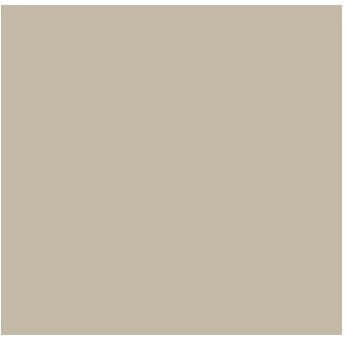 Fog Coat DX-820 Silverado 25 Bnding Cement Stucco Coating