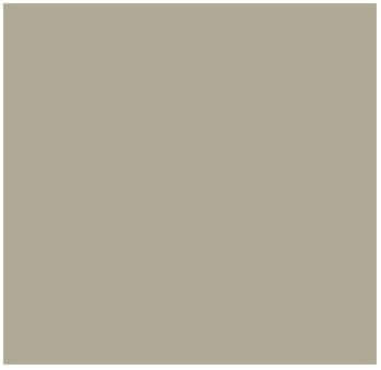 Fog Coat DX-696 Southern Moss 25 lb Bonding Cement Stucco Coating