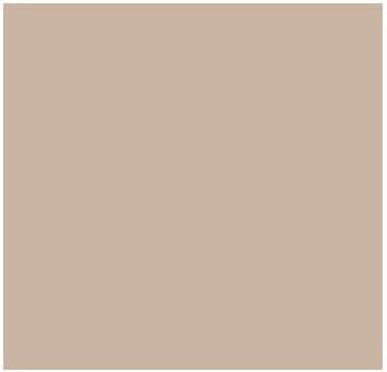 Fog Coat DX-475 Viejo 25 lb Bonding Cement Stucco Coating