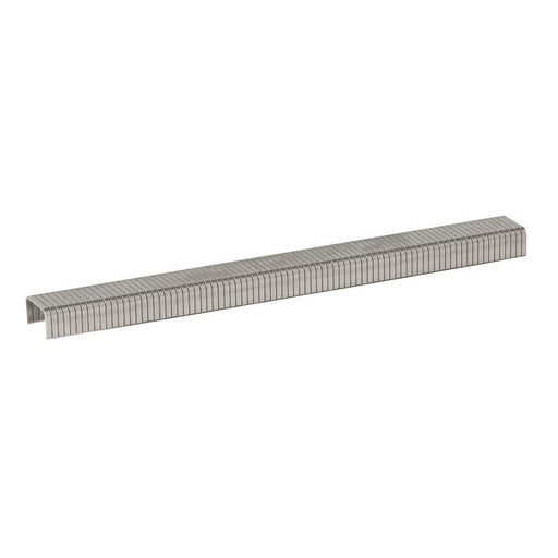Stainless Steel Staples 1/4 in. Leg x 3/8 in. 504SS1 T50 Medium Crown 20-Gauge Heavy-Duty (1000-Pack)