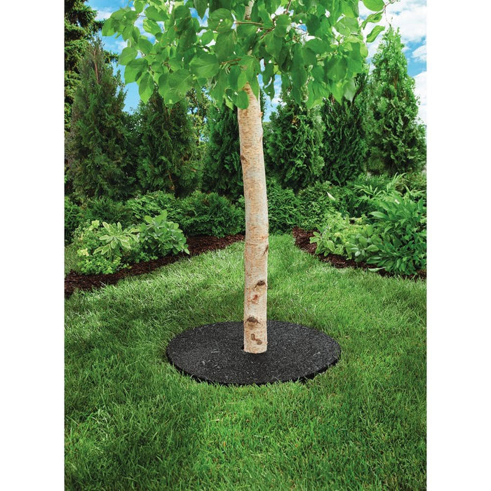 Rubber Tree Ring D 24 in. Black 5