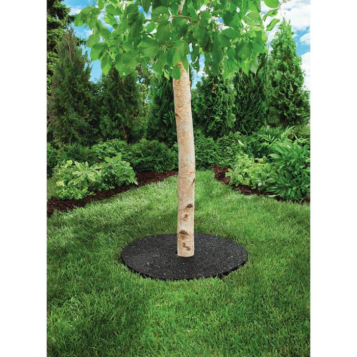 24 rubber tree ring Rubber Tree Ring D 24 in. Black
