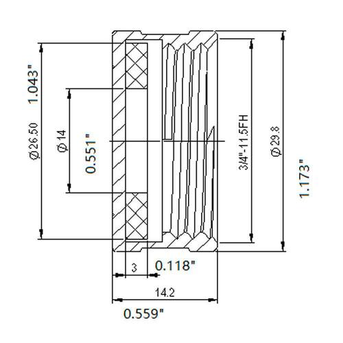 Brass Cap Fitting 3/4 in. FHT