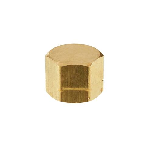 Brass Cap 1/2 in. Female Threaded PSI-150