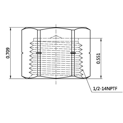 Brass Cap 1/2 in. Female Threaded PSI-150