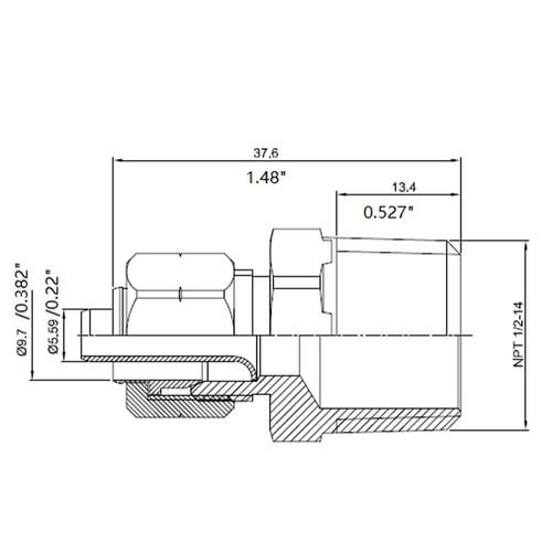 Brass Adapter 3/8 in. Compression PSI-150