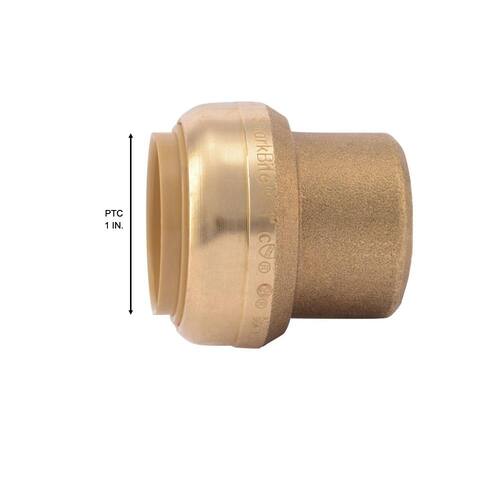 Brass End Stop Fitting 1 in. Push-to-Connect