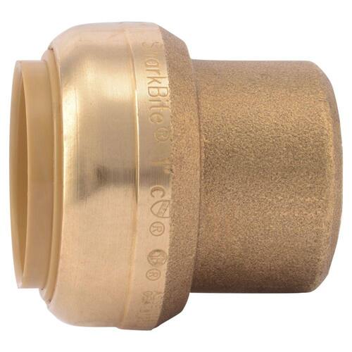 Brass End Stop Fitting 1 in. Push-to-Connect