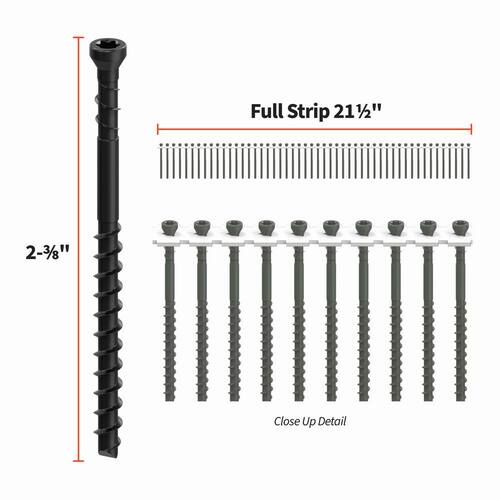 #7 Deck Screw 2-3/8 in. Protech Coated Star Drive Trim Head Collated Edge  (1000-Pack)