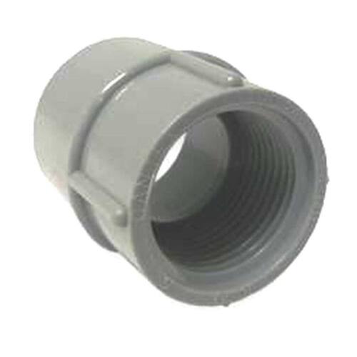 PVC Conduit Female Conduit Fitting Adapter 1 in.