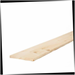 Softwood Boards 1 in. x 10 in. x 10 ft. Premium Kiln-Dried Square Edge Whitewood Common