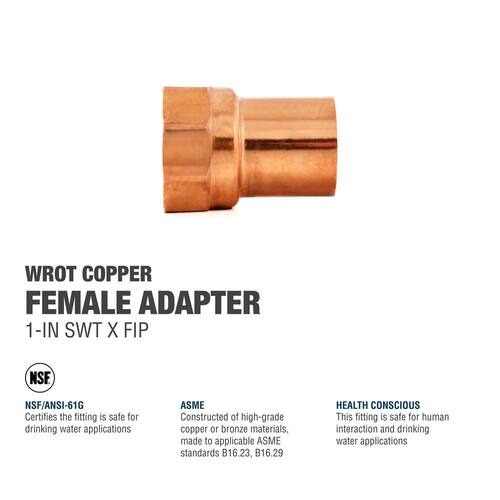 Copper Adapter 1 in. x 1 in. Lead Free PSI-494 Female