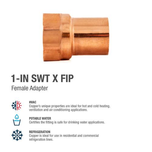 Copper Adapter 1 in. x 1 in. Lead Free PSI-494 Female