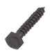 Lag Bolt 1/4 in. x 1-1/2 in. Hex Head Black Exterior (25-Pack) 2