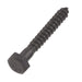 Lag Bolt 1/4 in. x 2 in. Hex Head Black Exterior (25-Pack) 2