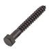 Lag Bolt 3/8 in. x 3 in. Hex Head Black Exterior (15-Pack) 2